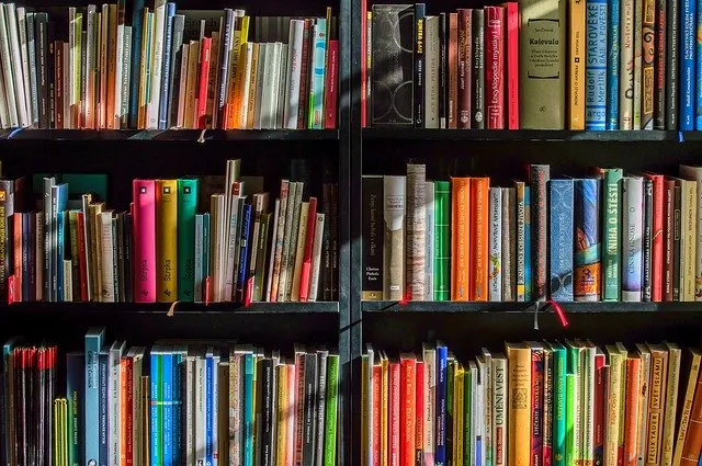 libros de gestion de proyectos